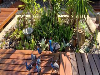 The Dreamcatcher Lodge - 1