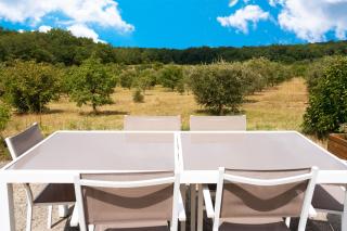 Domaine La Truffière des Mérigots - 6