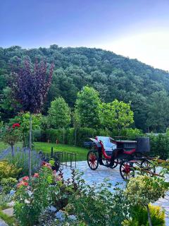 Ograda Bunicului Seaca - 3