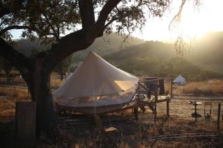 Lost Paradise - A night into the Alentejo! - Sabóia - 0