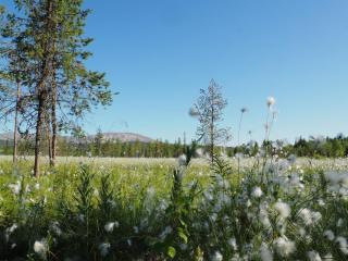 Cozy Cottage in Äkäslompolo, Ylläs, Finland - 3