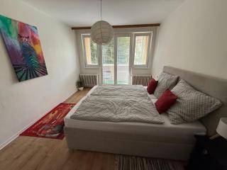 Apartmán JzP - Jihlava - 6