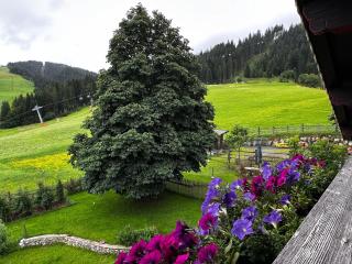 Obinghof - Fieberbrunn - 5