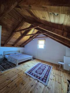 Old Fisherman House, Skadar lake - - 8