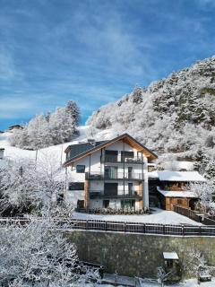 Alpenglow Apartments - Klobenstein - 1
