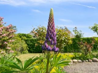 Holiday Home Keld - 350m from the sea by Interhome - Allinge - 5