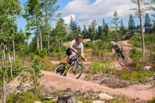 Fulufjellet cabins - 3