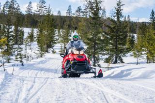 Fulufjellet cabins - 2
