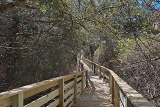 Beachside Villas 811 - 0