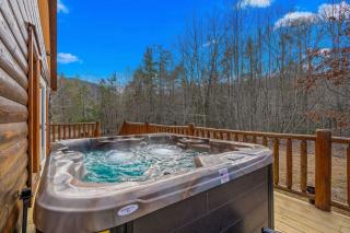 Apalachee Pool lodge - Cosby - 5