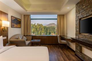 Radisson Srinagar - 4