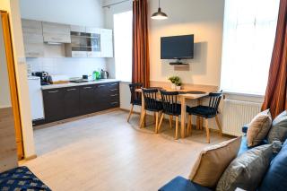 Apartament Przy Deptaku - Krynica-Zdrój - 9