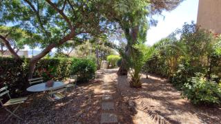 Evasion en Provence - Roquebrune-sur Argens - 7
