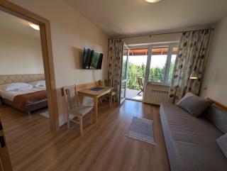 Widok apartamenty,domki,pokoje - Polańczyk - 7