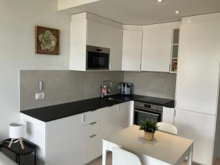 Amazing views modern flat Geneva, Champel - 7