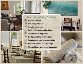 Harmony vintage - Quartier calme - Centre-ville Haguenau - Gare 3 min - 9