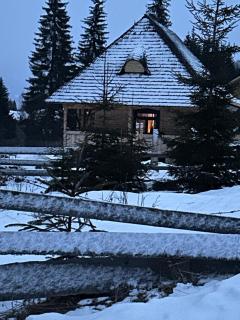 Poiana cu Sinziene - Neagra Şarului - 8