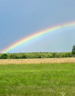 Poleskie zacisze, domek Bocian, kominek, balia,sauna,wifi - 1