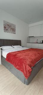 Solo Visit Apartments 1307 C - 3