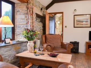 Campion Cottage - Saint Teath - 9
