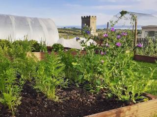 Old Barn Farm Cottage - Cc - 2