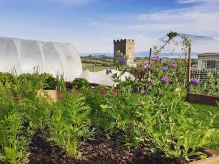 Old Barn Farmhouse - Cc - 1
