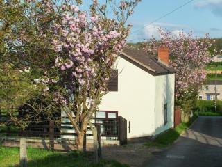 The Coach House - Drybrook - 1
