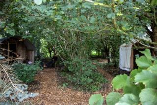 Handcrafted grain-store yurt in Somerset woodland - 2