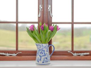 Spire View - Redlynch - 4