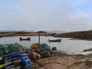 Cuckoos Nest - Cove - 2