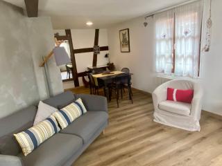 Appartement de caractère au calme 15 mins quartier historique, Gîte du Merlenchanteur - Schiltigheim - 1