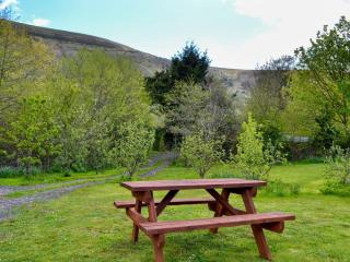 Mountain View - Llanthony - 1