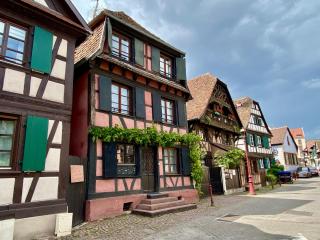 Appartement de caractère au calme 15 mins quartier historique, Gîte du Merlenchanteur - Schiltigheim - 8