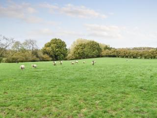 Farmhouse Garden Shepherds Hut - 1
