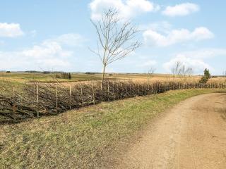 Newonstead Bothy - Cottage - Kirkharle - 3