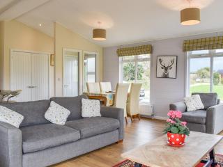 Buckland Lodge - Pentridge - 7