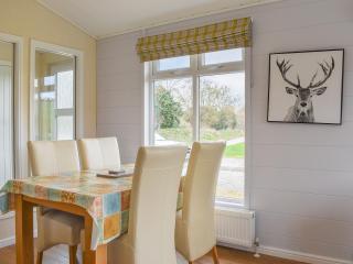 Buckland Lodge - Pentridge - 5