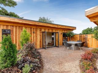 Daffodil - Uk40266 - 0