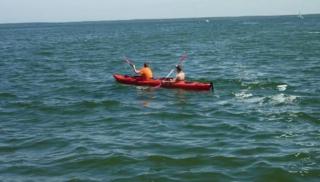 Mueritzbrise 3 Mit Terrasse Free Wifi - 4