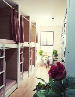Little Garden Homestay - Ho-Chi-Minh-Stadt - 9