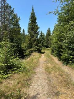WoodDream - Volovets - 6
