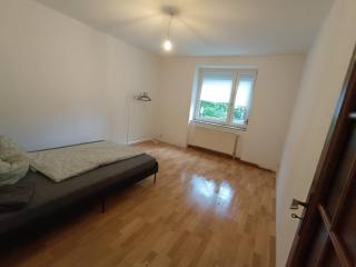 Spacious Flat with 3 bedooms for 5-8 guests - Zeitz - 6