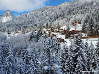 Alpine apartment in Swiss village of Torgon - Torgon - 1
