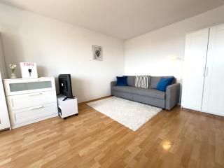 Sunny Side Studio, AC - Vienna - 3