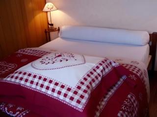 Chalet Face au Mont-Blanc - Hauteluce - 1