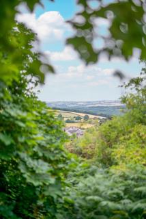 Ellencroft - Unstone - 1