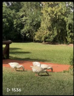 Sarayu Wellness Institute - 9