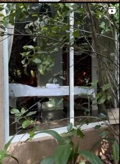 Sarayu Wellness Institute - 1