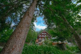Pensiunea Vanatorul - Băile Tuşnad - 6
