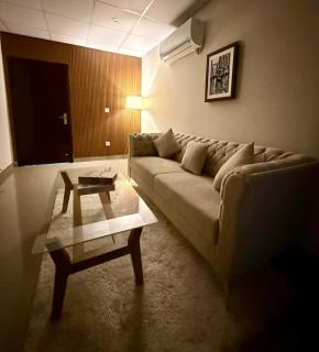 Bright 1 BR Apartment Near Airport - Lahore - 5